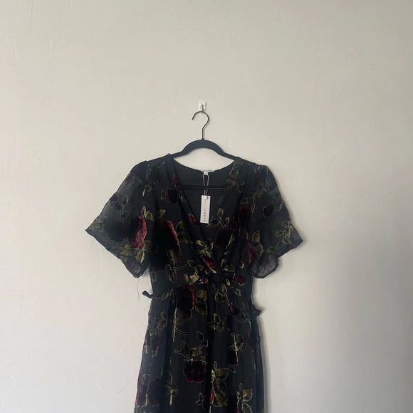 Baltic Born Parisian Velvet Floral Maxi Dress - Picture 3 of 10